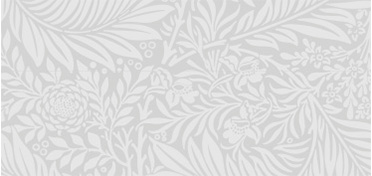 Compagnia dei Caraibi